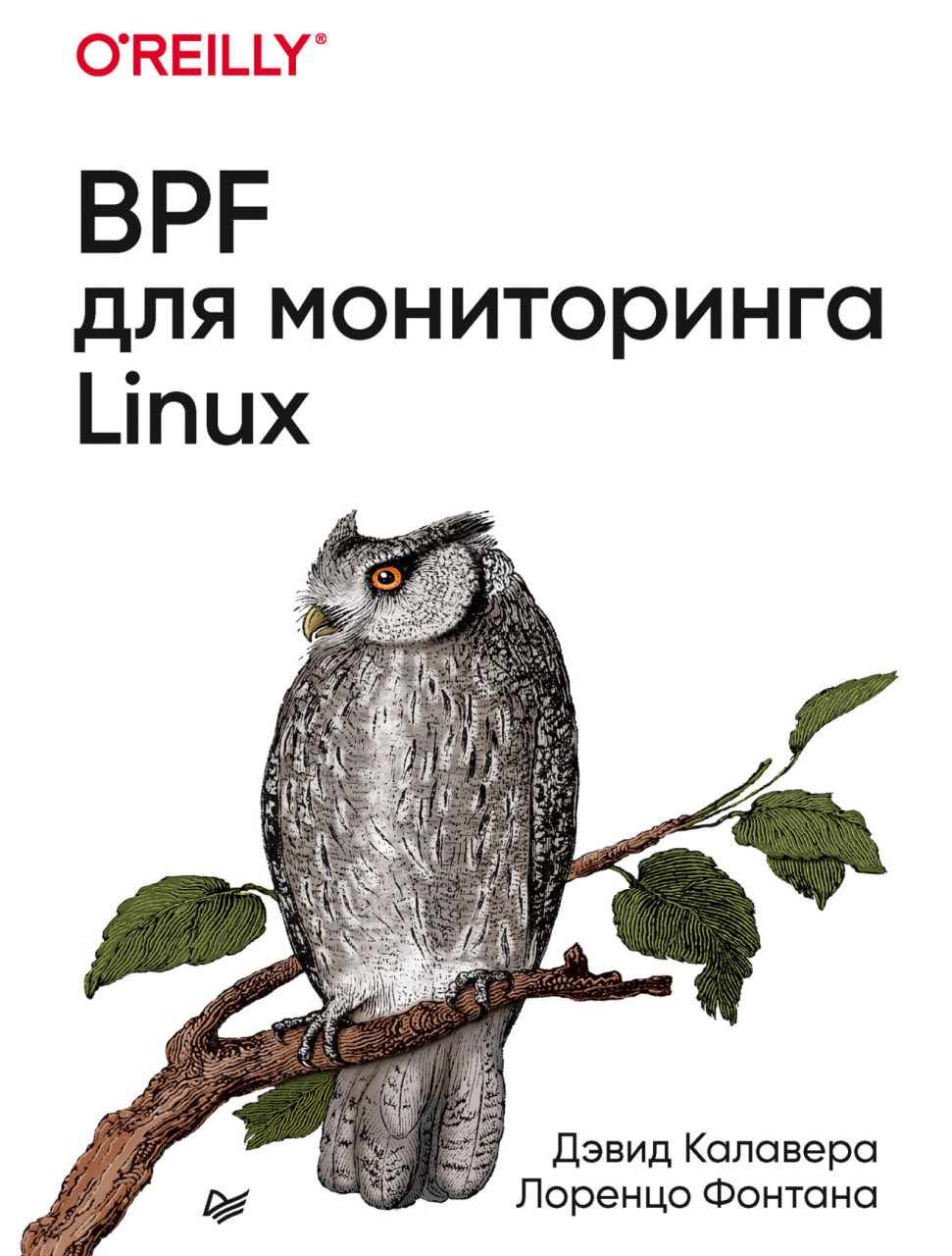 BPF для мониторинга Linux