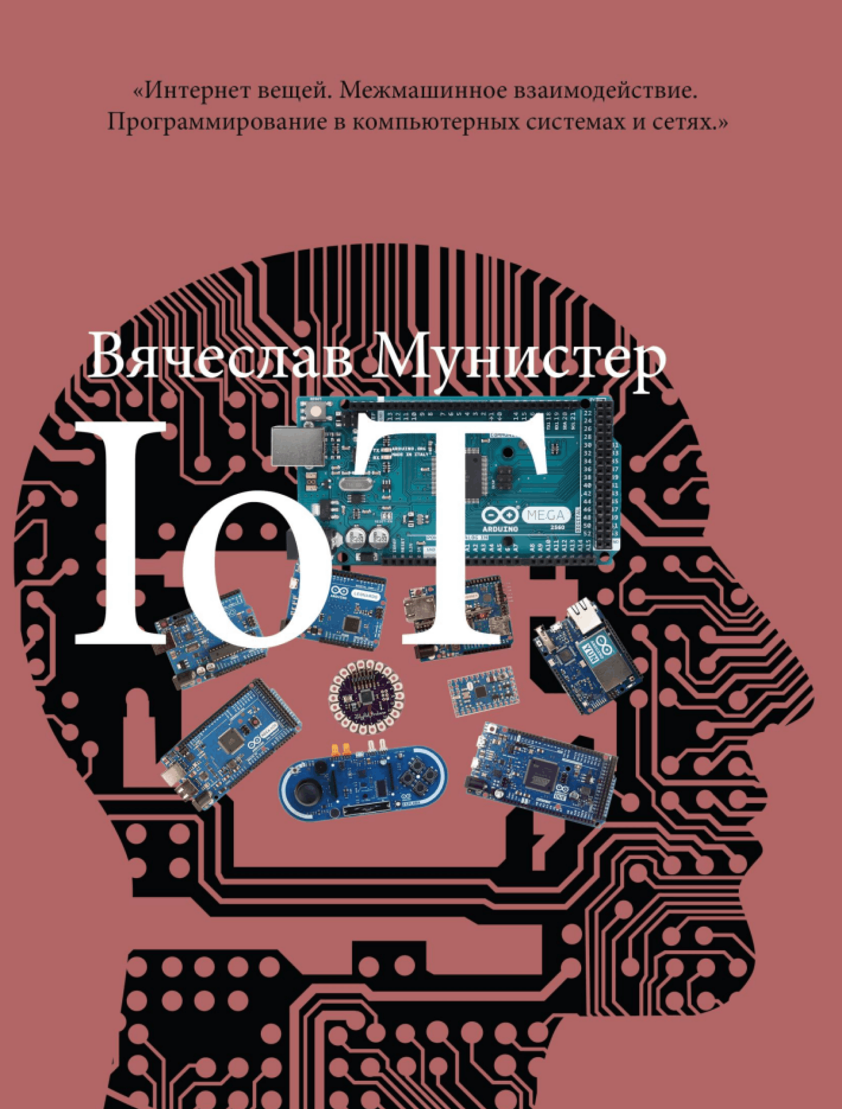 IoT. Межмашинное взаимодействие. Программирование в компьютерных сетях