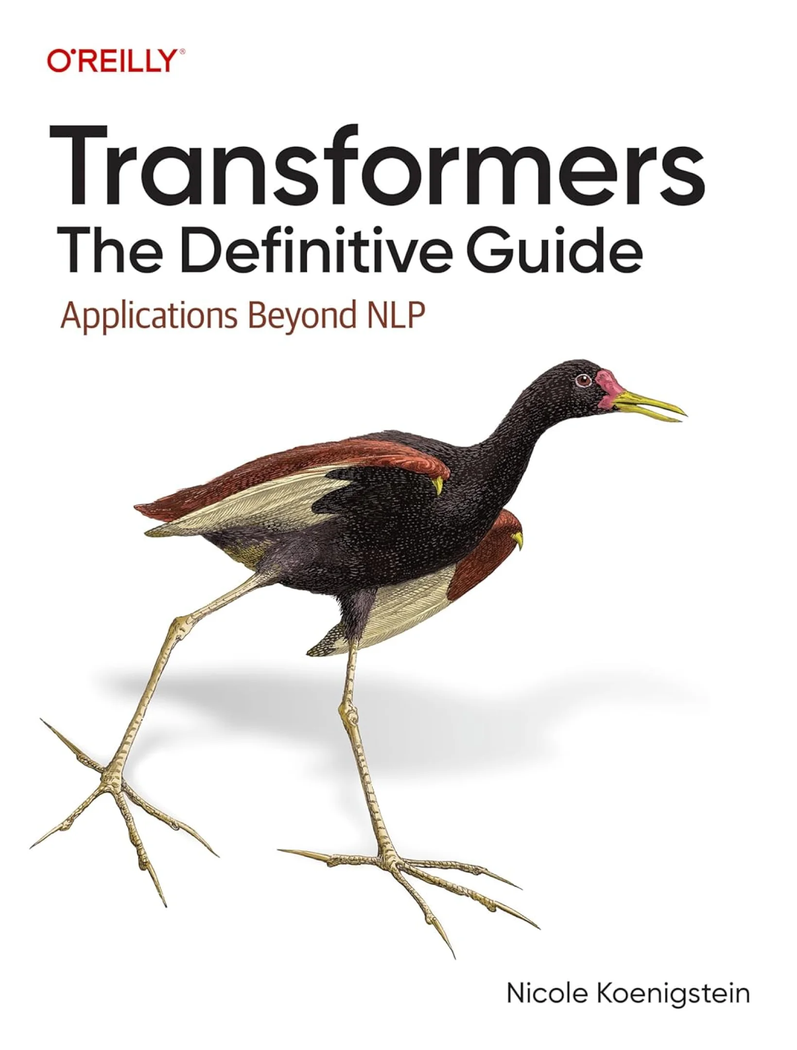 Transformers: The Definitive Guide