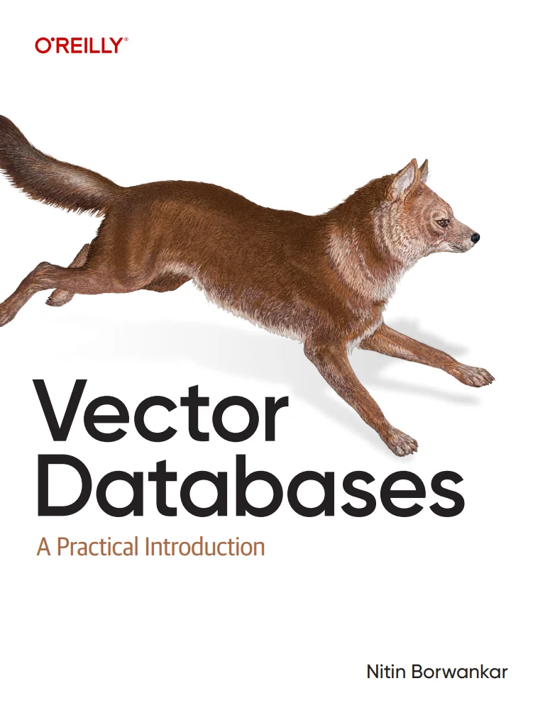 Vector Databases: A Practical Introduction