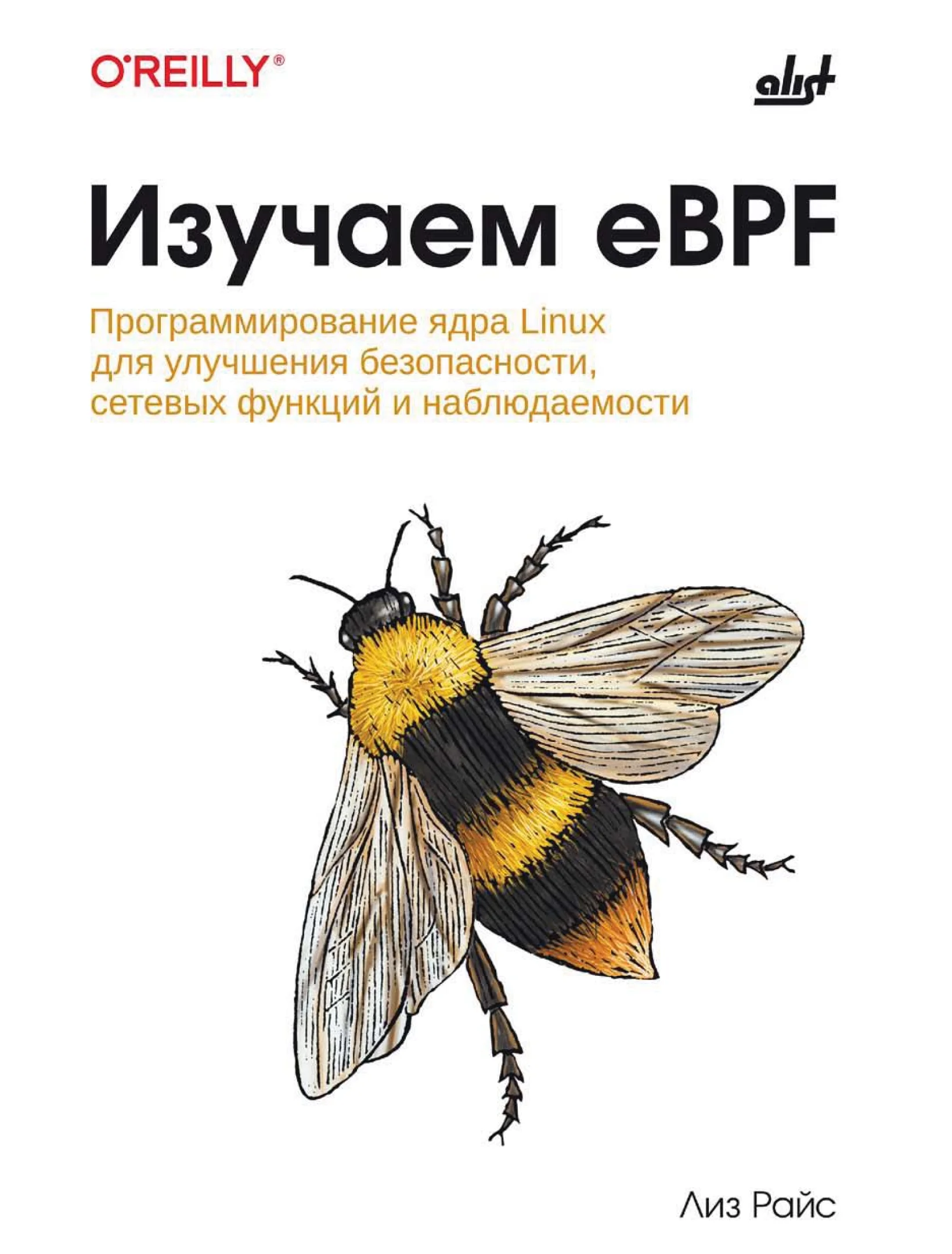 Изучаем eBPF. Программирование ядра Linux для улучшения безопасности, сетевых функций и наблюдаемости