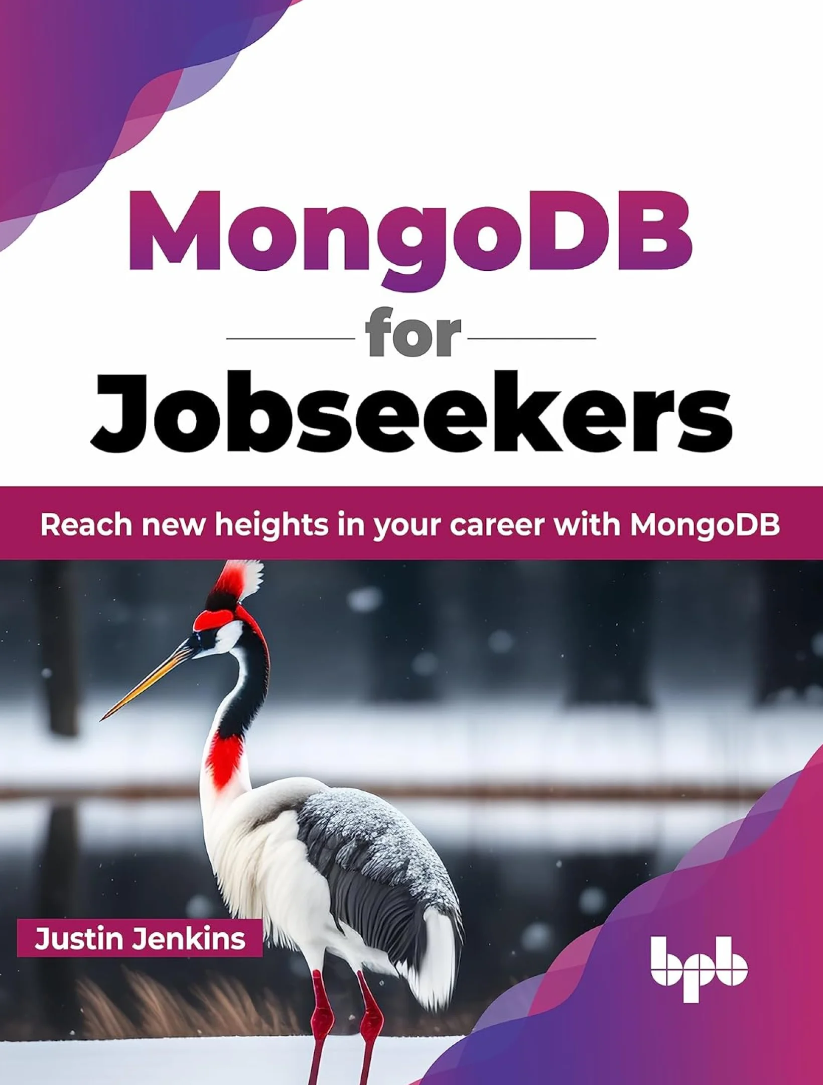 MongoDB for Jobseekers