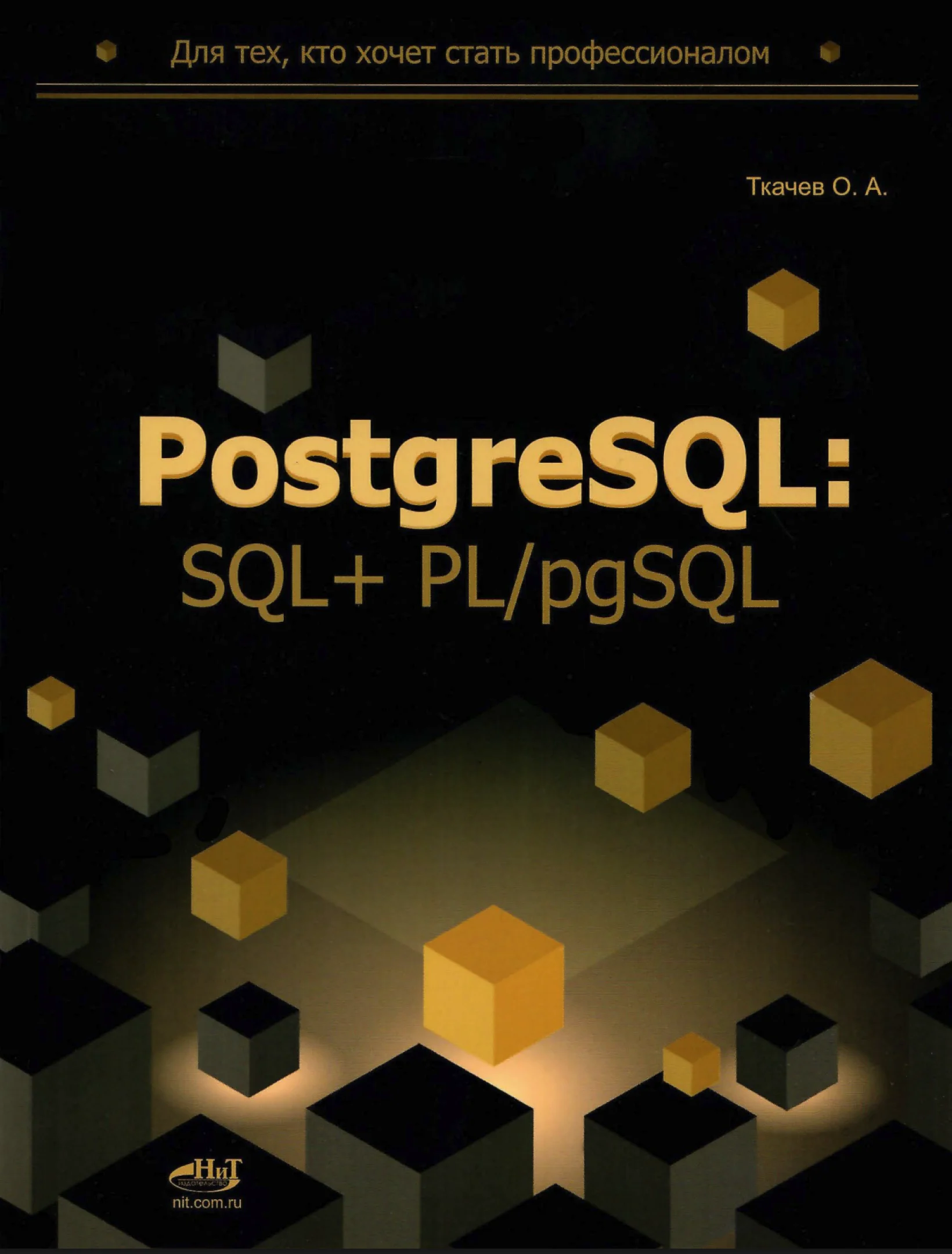 PostgreSQL: SQL + PL/pgSQL для тех, кто хочет стать профессионалом