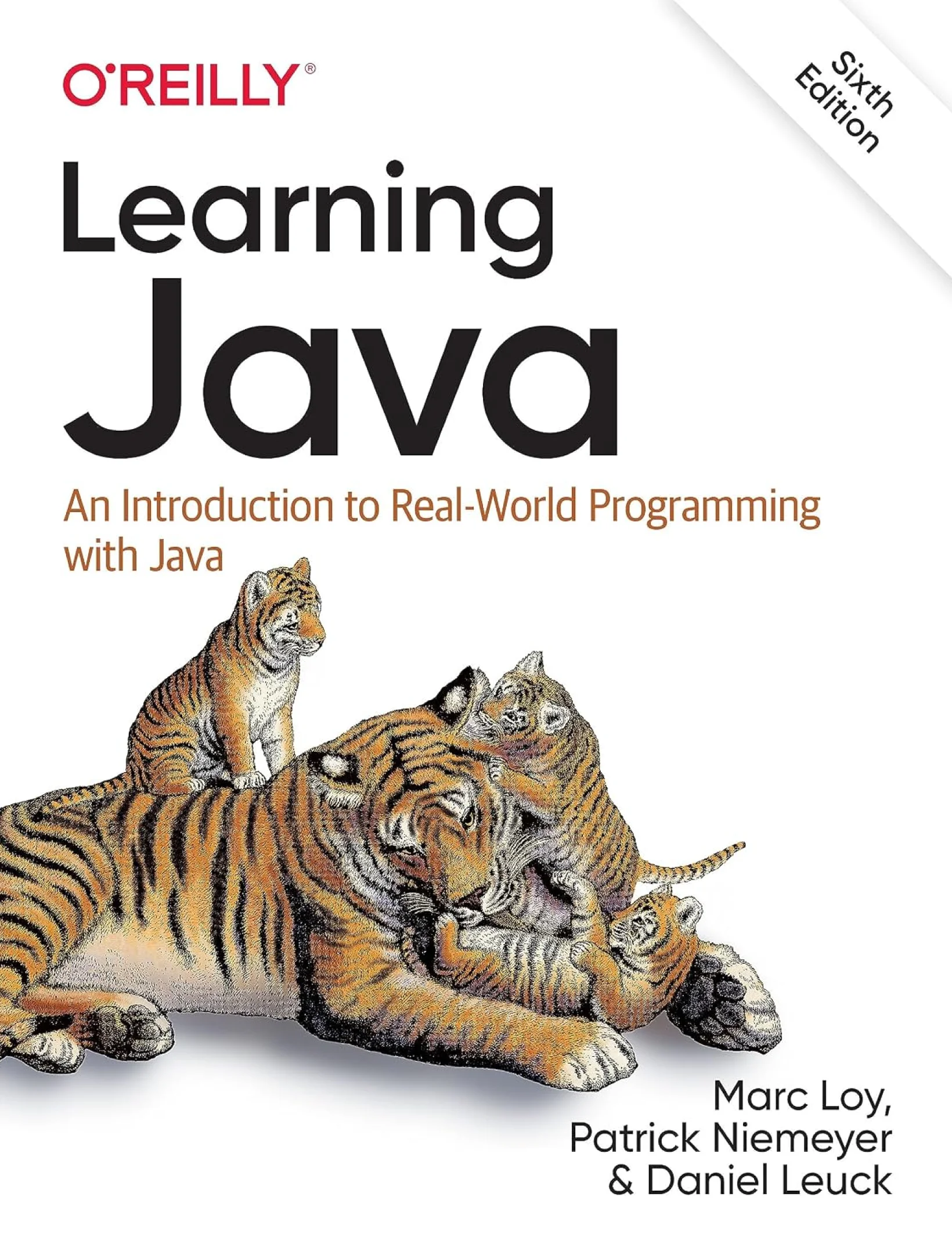 Learning Java, 6-th Edition
